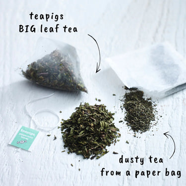 Teapigs Peppermint Leaves Tea